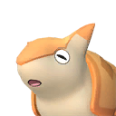 꼬마딜로